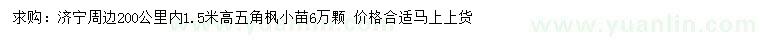 求購(gòu)高1.5米五角楓