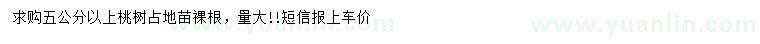 求購(gòu)5公分以上桃樹(shù)