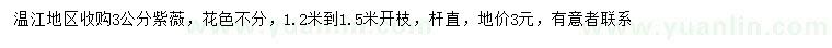 求購3公分紫薇