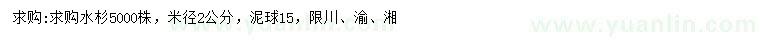 求購米徑2公分水杉
