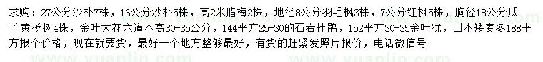求購(gòu)沙樸、臘梅、羽毛楓等