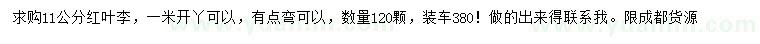 求購(gòu)11公分紅葉李