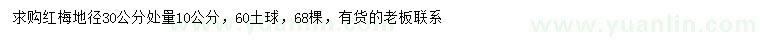 求購30量10公分紅梅