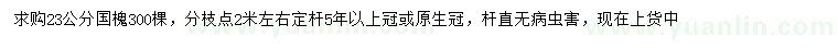 求購23公分國槐