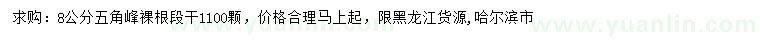 求購(gòu)8公分五角楓