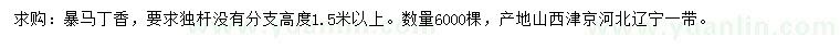 求購高1.5米以上暴馬丁香