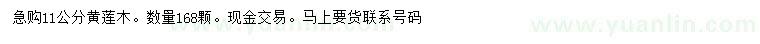 求購11公分黃連木