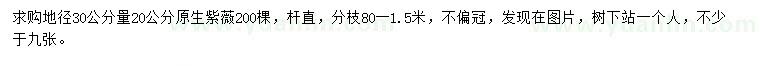 求購30量20公分原生紫薇