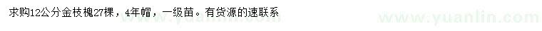 求購(gòu)12公分金枝槐