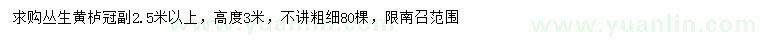 求購(gòu)冠副2.5米以上叢生黃櫨