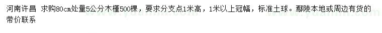 求購(gòu)80公分處量5公分木槿