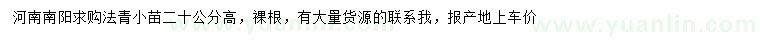 求購高20公分法青小苗