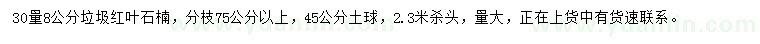 求購30量8公分紅葉石楠