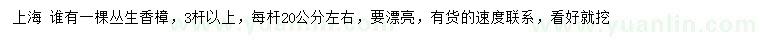 求購3桿以上叢生香樟