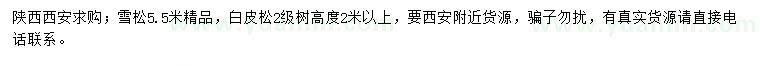 求購5.5米雪松、2米以上白皮松