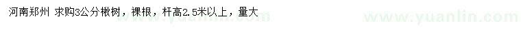 求購3公分楸樹