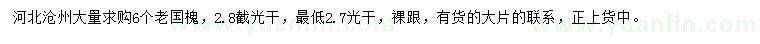 求購(gòu)6公分老國(guó)槐