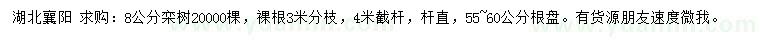 求購8公分欒樹