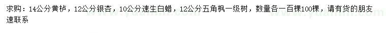 求購黃櫨、銀杏、速生白蠟等