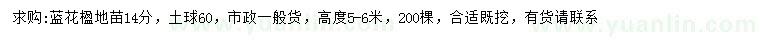 求購(gòu)14公分藍(lán)花楹