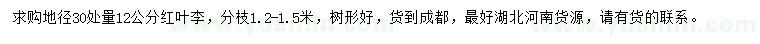 求購地徑30處量12公分紅葉李