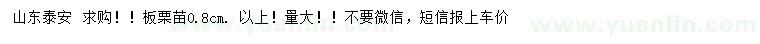 求購0.8公分以上板栗苗