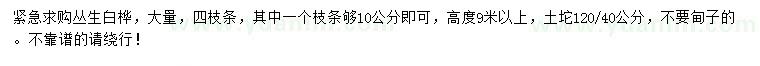求購(gòu)叢生白樺