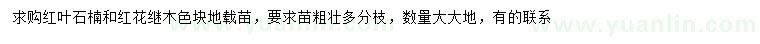 求購紅葉石楠、紅花繼木色塊