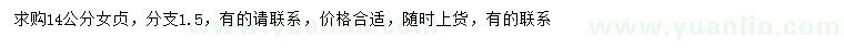 求購(gòu)14公分女貞
