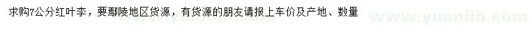 求購(gòu)7公分紅葉李