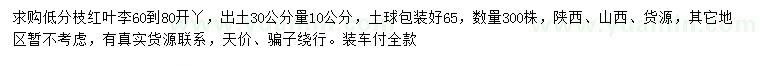 求購出土30公分量10公分紅葉李