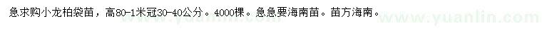 求購高80-100公分小龍柏