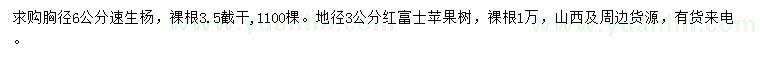 求購(gòu)胸徑6公分速生楊、地徑3公分蘋(píng)果樹(shù)