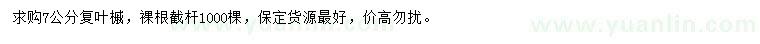 求購7公分復葉槭