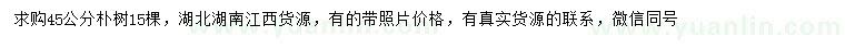 求購45公分樸樹