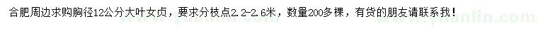 求購胸徑12公分大葉女貞
