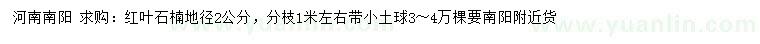 求購地徑2公分紅葉石楠