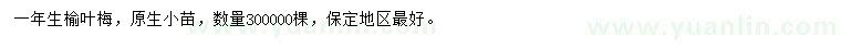 求購一年生榆葉梅