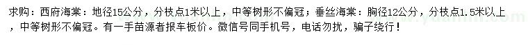 求購(gòu)地徑15公分西府海棠、胸徑12公分垂絲海棠