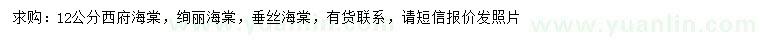 求購西府海棠、絢麗海棠、垂絲海棠