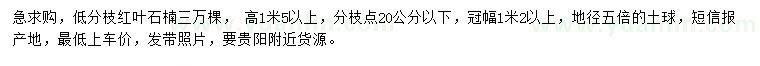 求購高1米5以上紅葉石楠