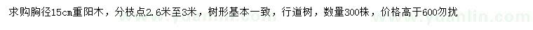 求購(gòu)胸徑15公分重陽(yáng)木