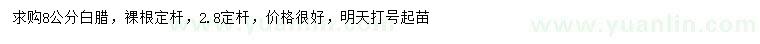 求購8公分白臘