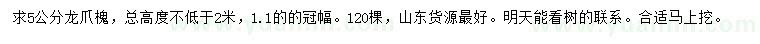 求購5公分龍爪槐