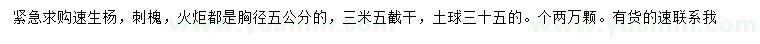 求購速生楊、刺槐、火炬