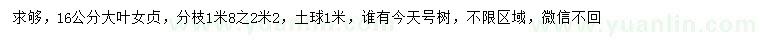 求購16公分大葉女貞