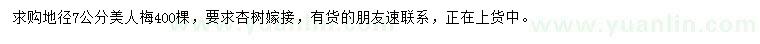求購(gòu)地徑7公分美人梅