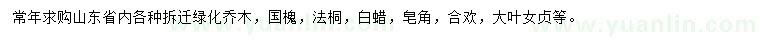 求購國槐、法桐、白蠟等
