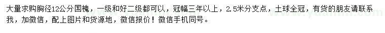 求購(gòu)胸徑12公分國(guó)槐