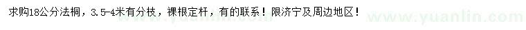 求購18公分法桐